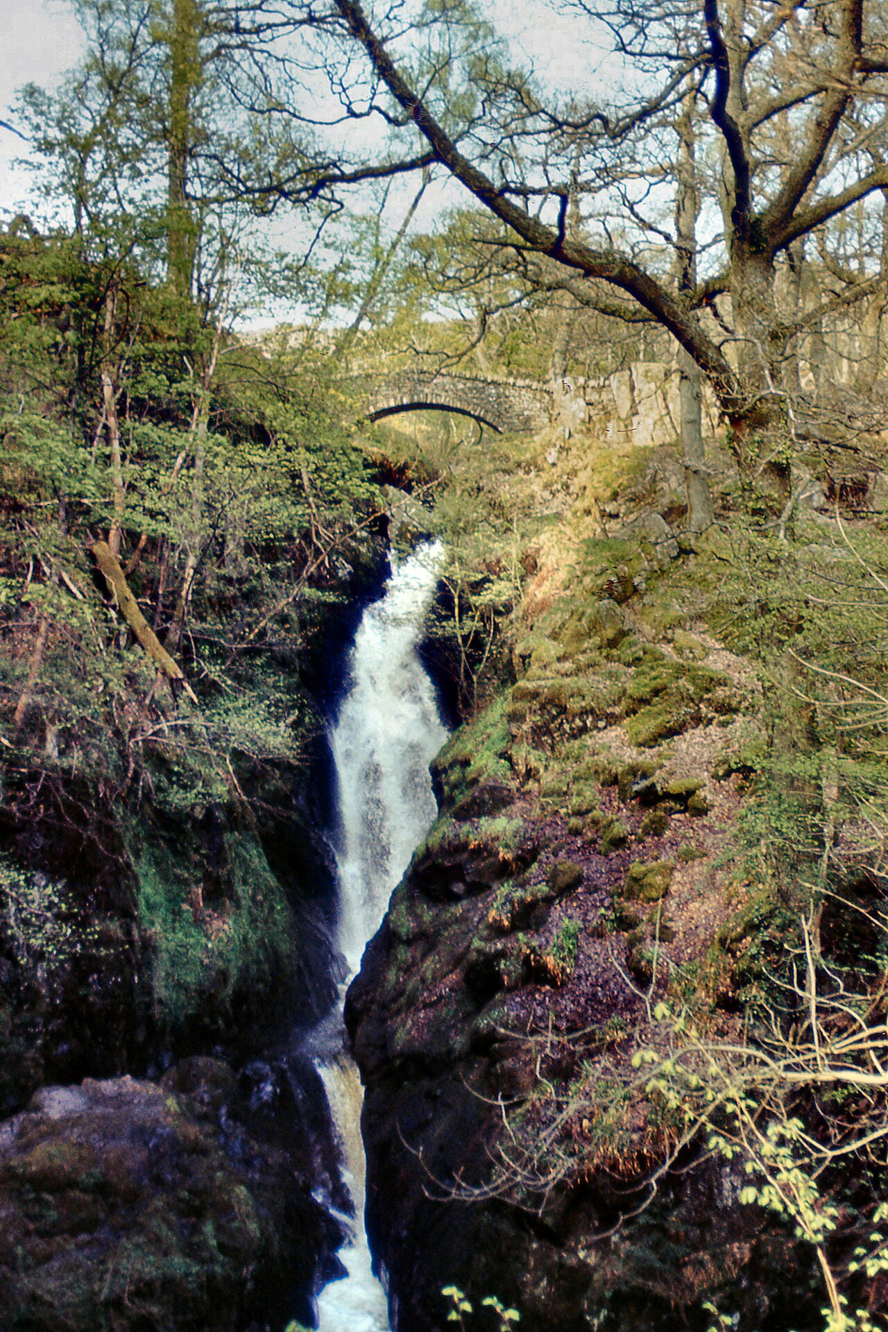 Aira Force waterfall descending through its wooded gorge