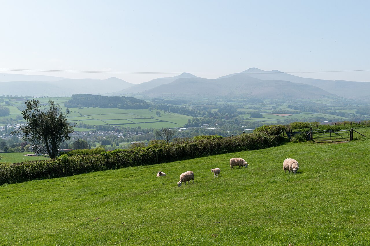 Fields below Pen-y-crug with Bannau Brycheiniog beyond