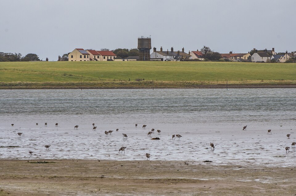 Holy Island village viewed across the shore