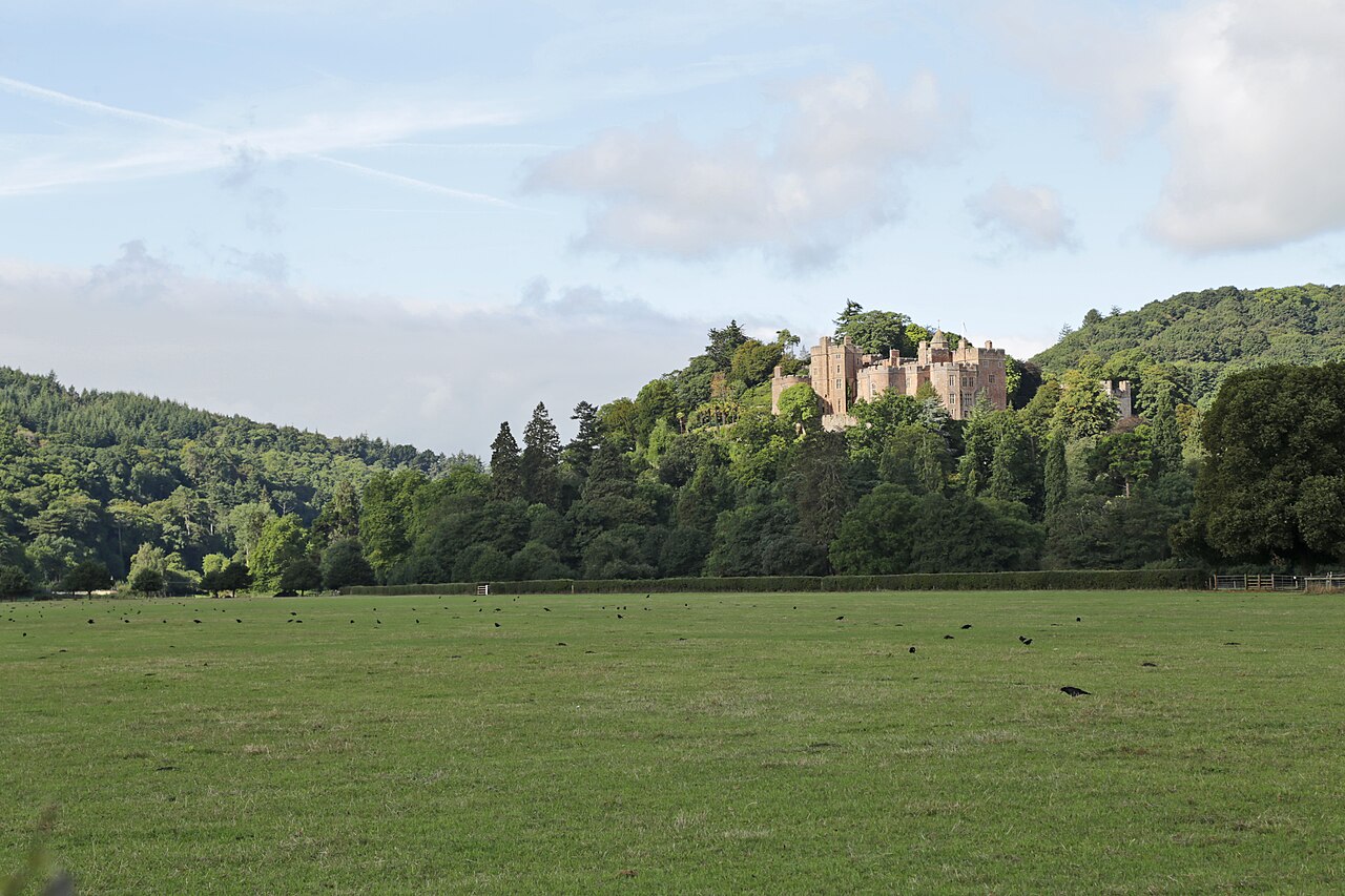 Dunster Castle on its wooded hill above the meadow