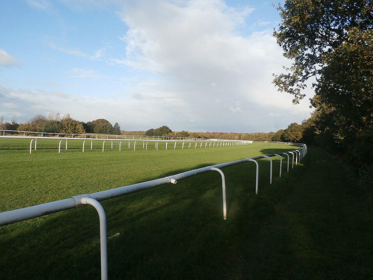 Grass track and white rails at Doncaster Racecourse