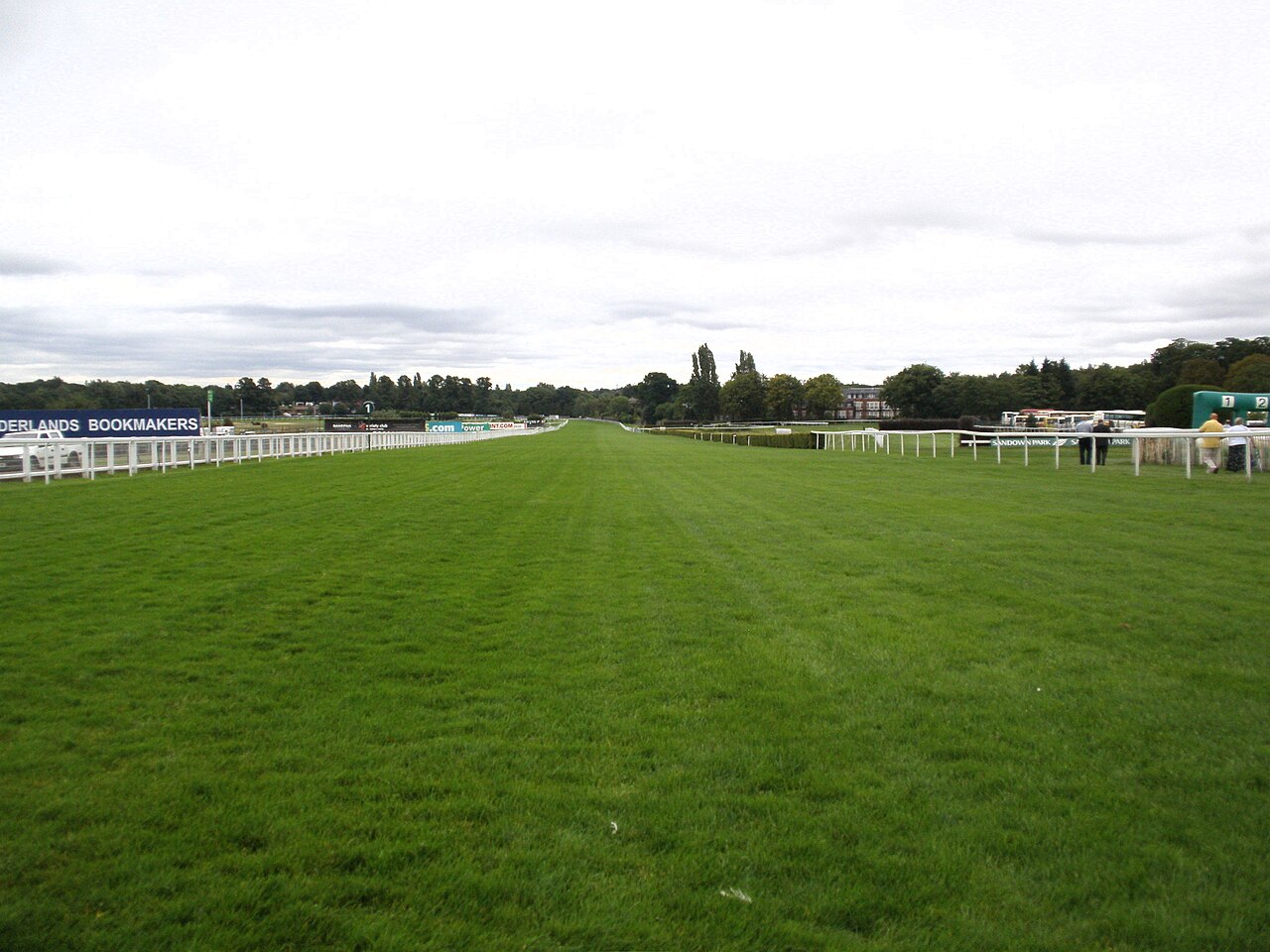 Grass track and rails at Sandown Park Racecourse