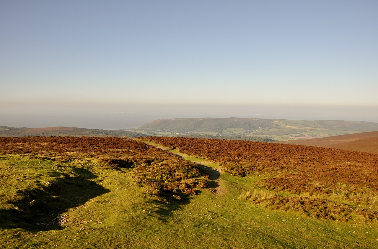 Open Exmoor landscape seen from Dunkery Beacon