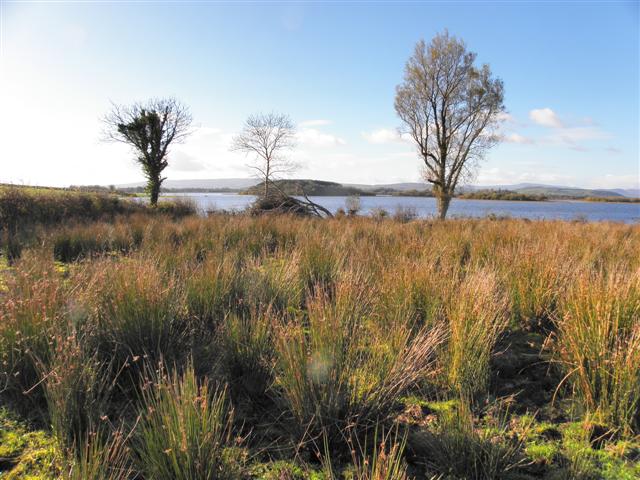 Upper Lough Erne near Curragh
