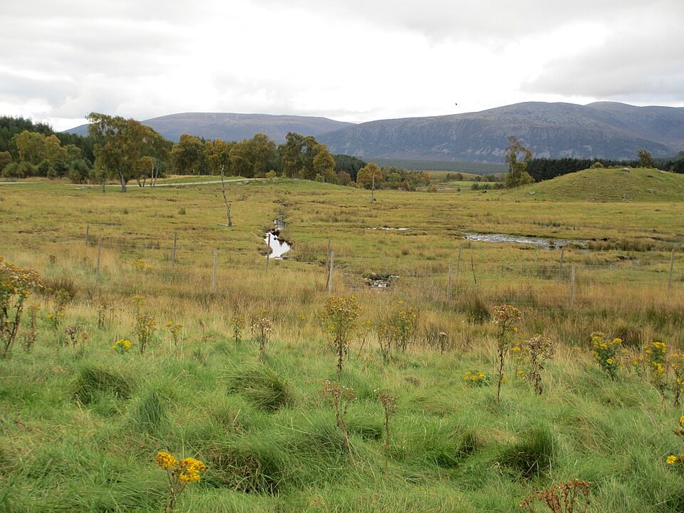 Landscape at Highland Wildlife Park