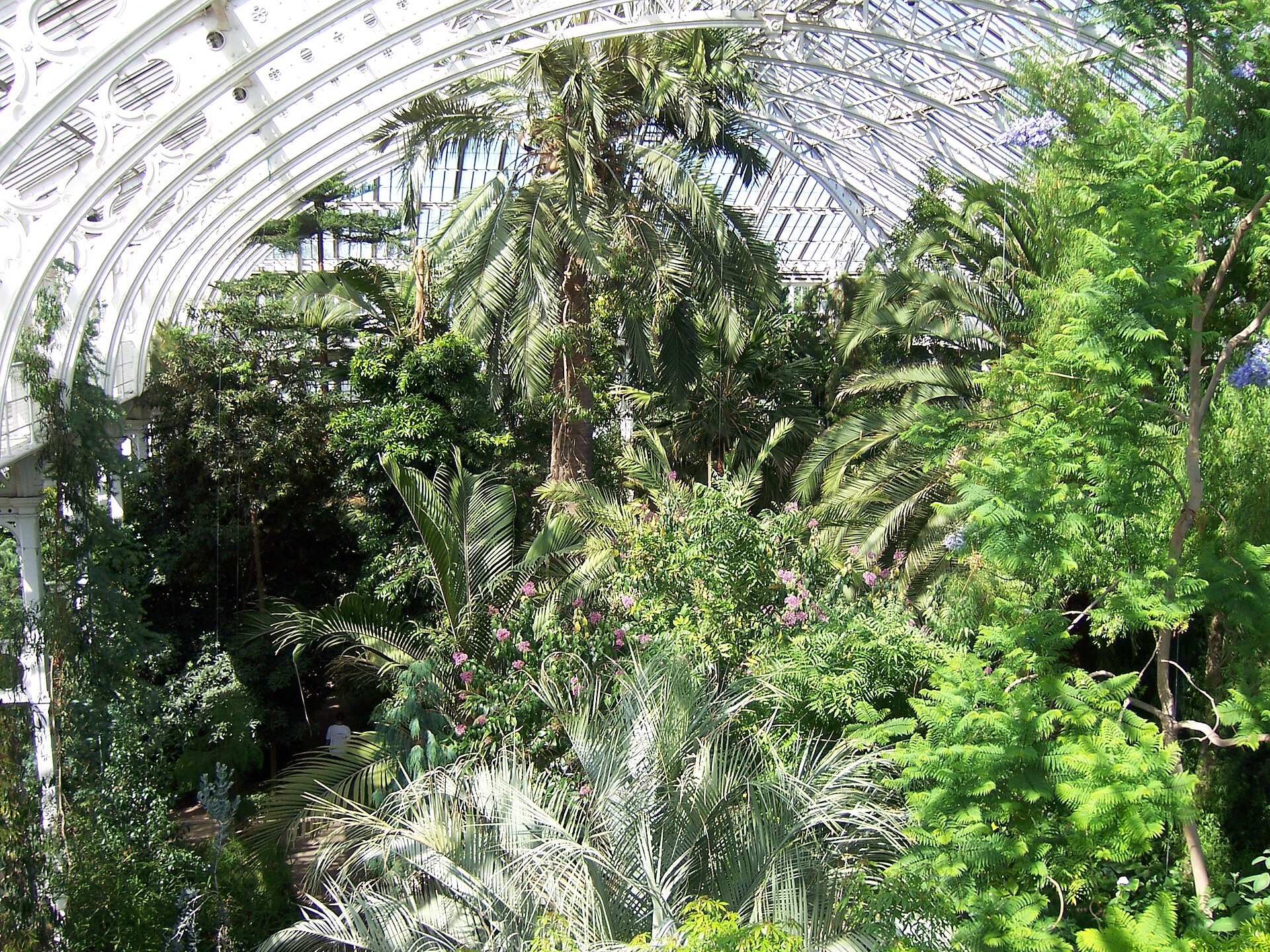 Kew Garden Temperate House