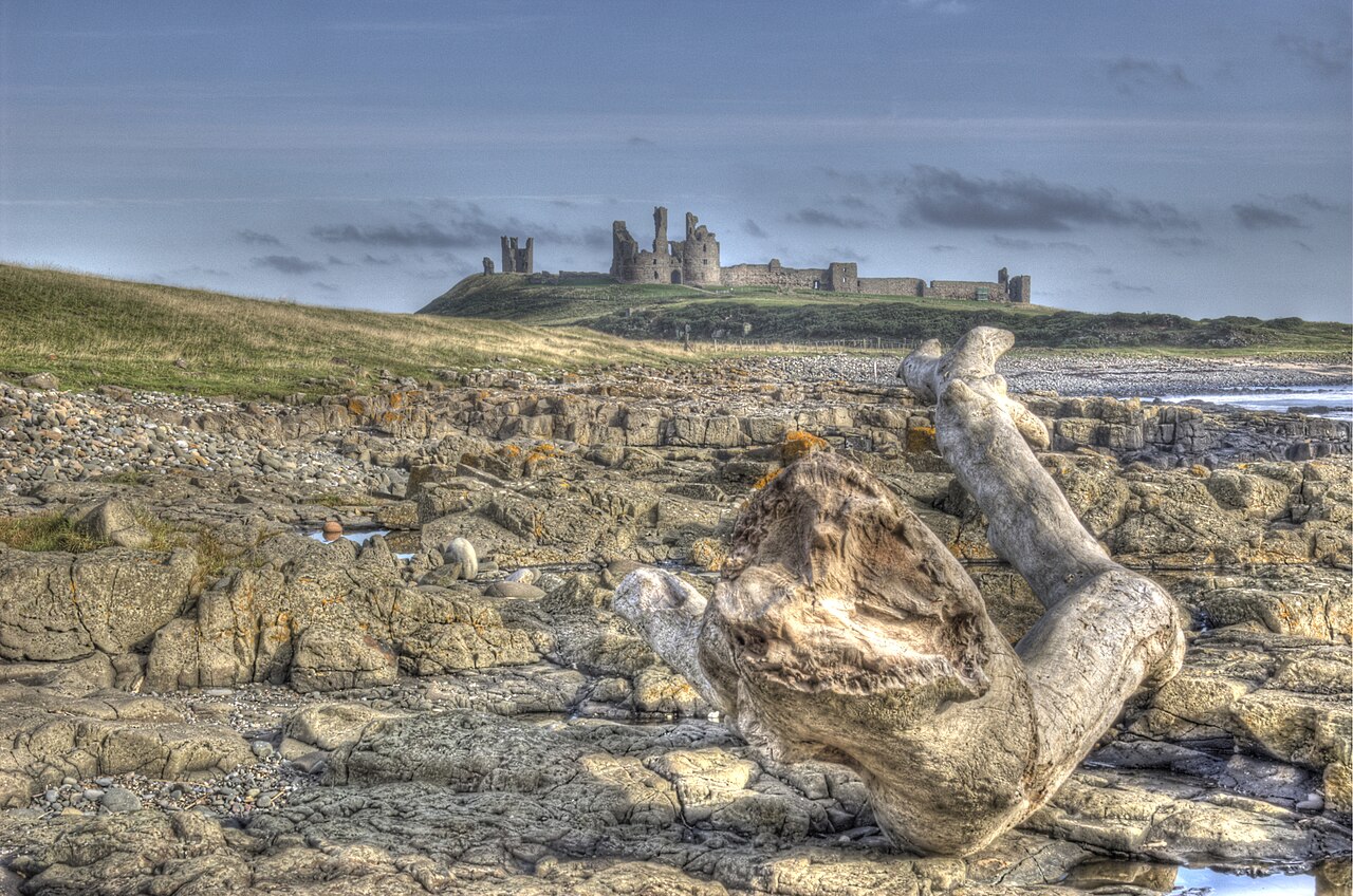 Dunstanburgh Castle ruins on the Northumberland coast
