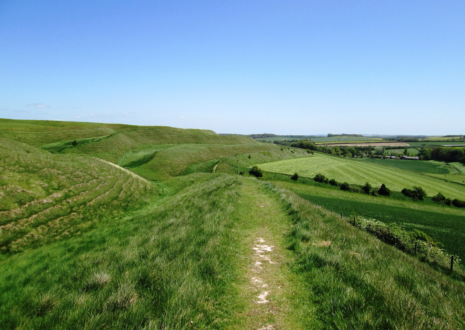 Grassy chalk ramparts curving across Maiden Castle hillfort in Dorset