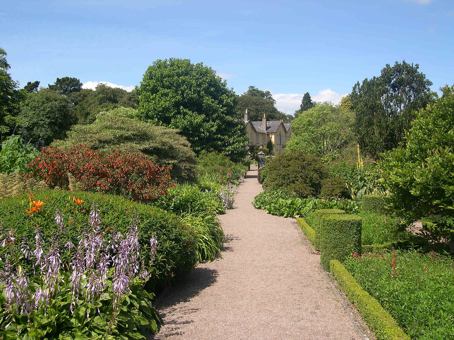 Flower borders and straight path in Rowallane walled garden, County Down