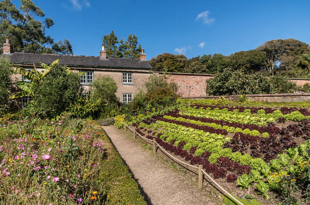 Walled garden and planting at Trengwainton Garden near Penzance