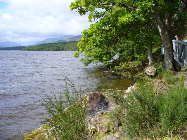 Tree-lined shore of Loch Lomond at Balmaha