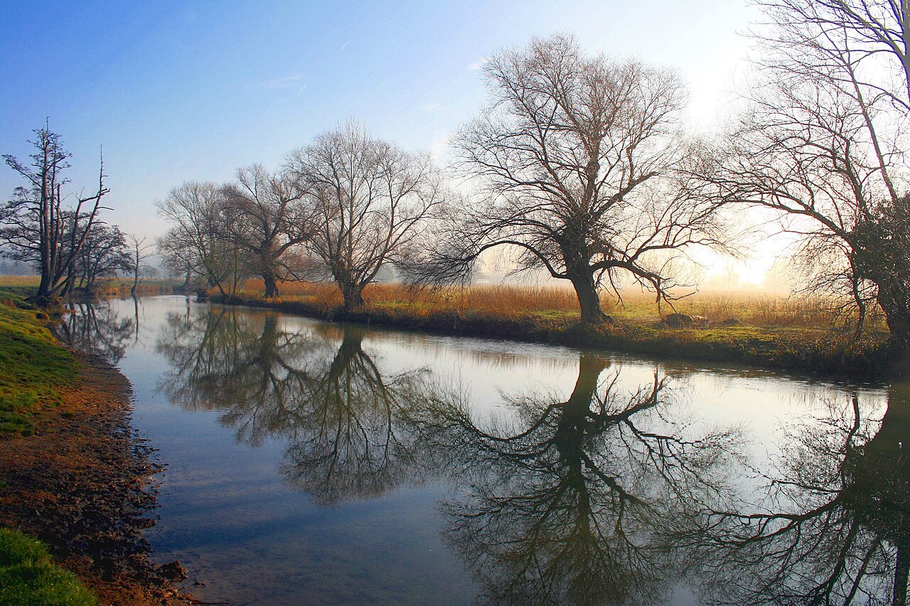 Trees reflected in the River Stour at Dedham