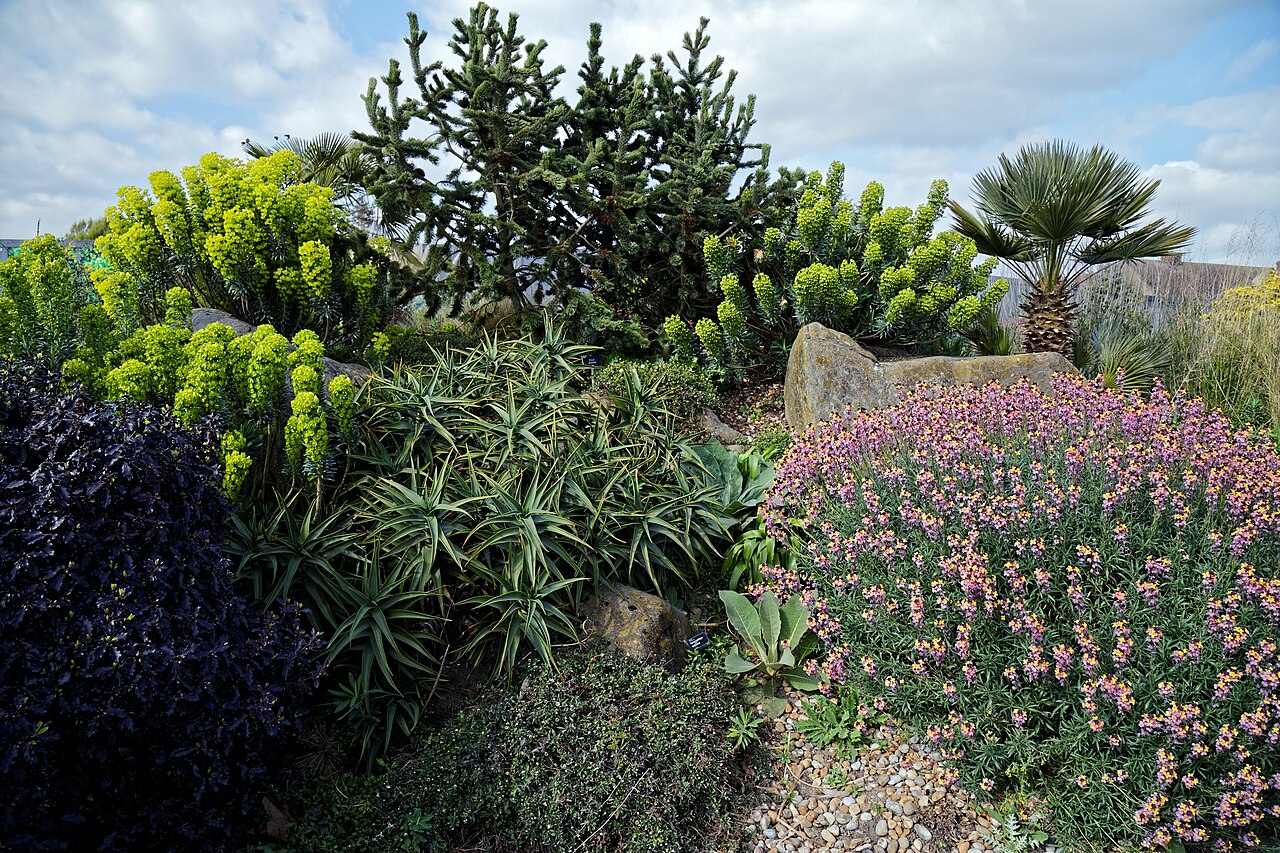 Dry Garden border planting at RHS Hyde Hall