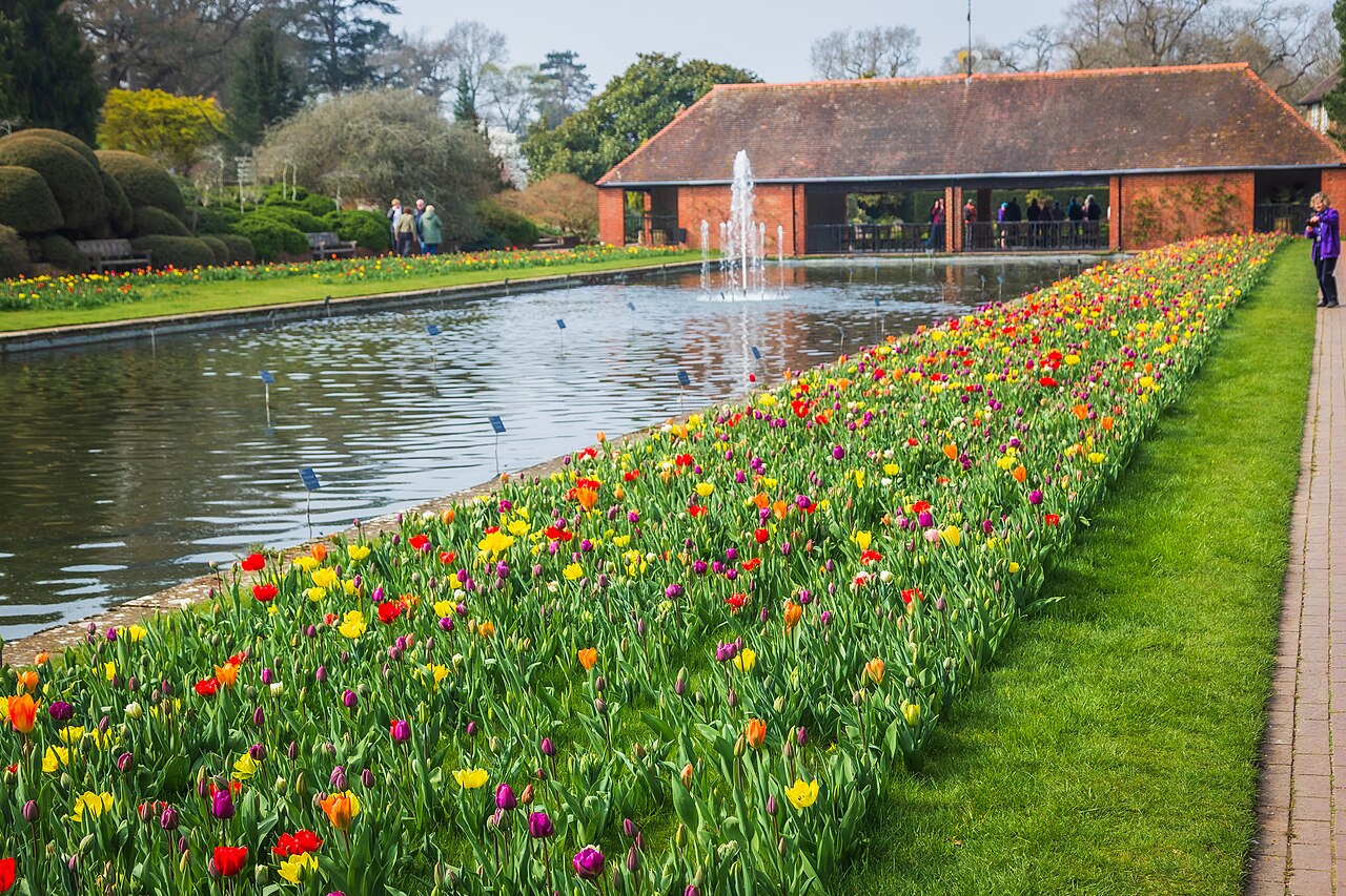 Jellicoe Canal and the old laboratory at RHS Wisley