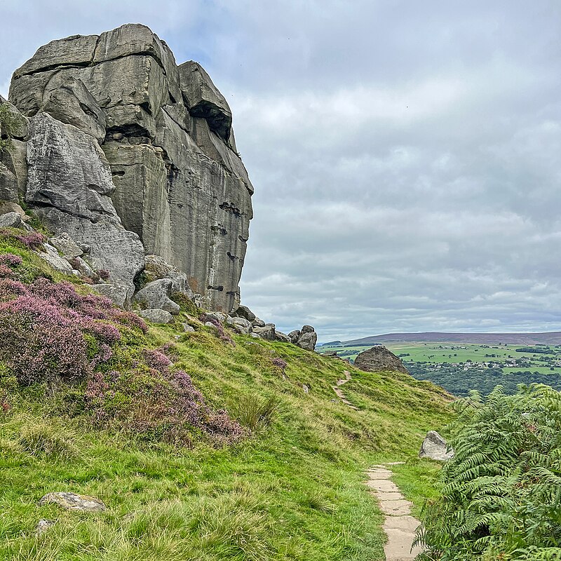 Cow and Calf Rocks above Ilkley
