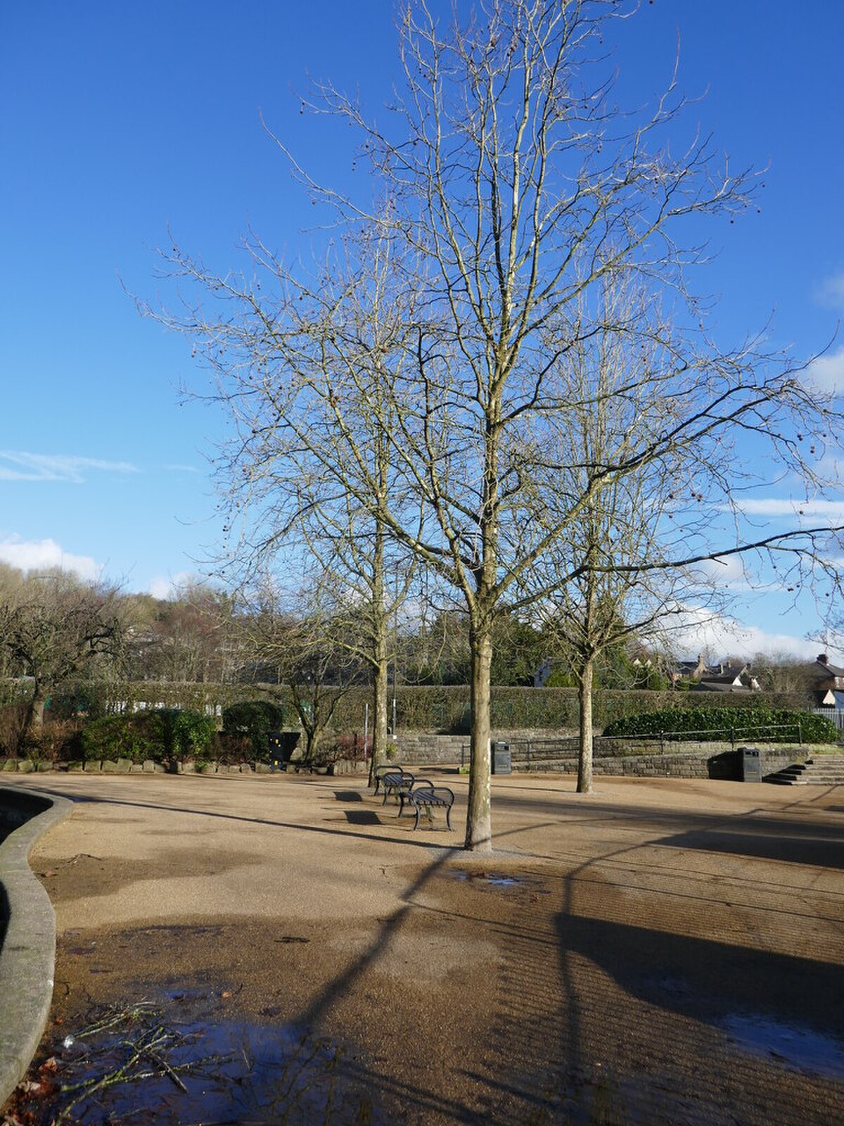 Hall Leys Park, Matlock
