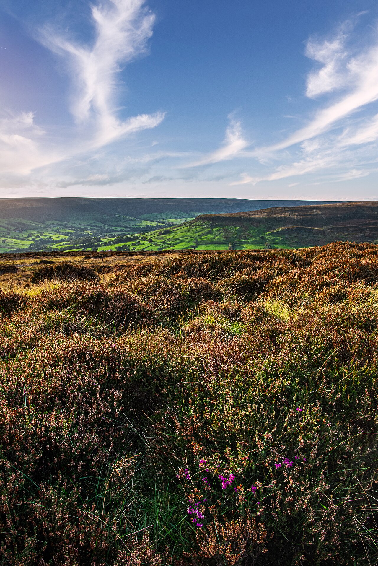 Heather moorland above Farndale