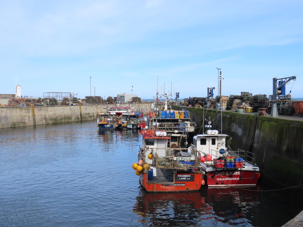 Boats moored in Seahouses harbour