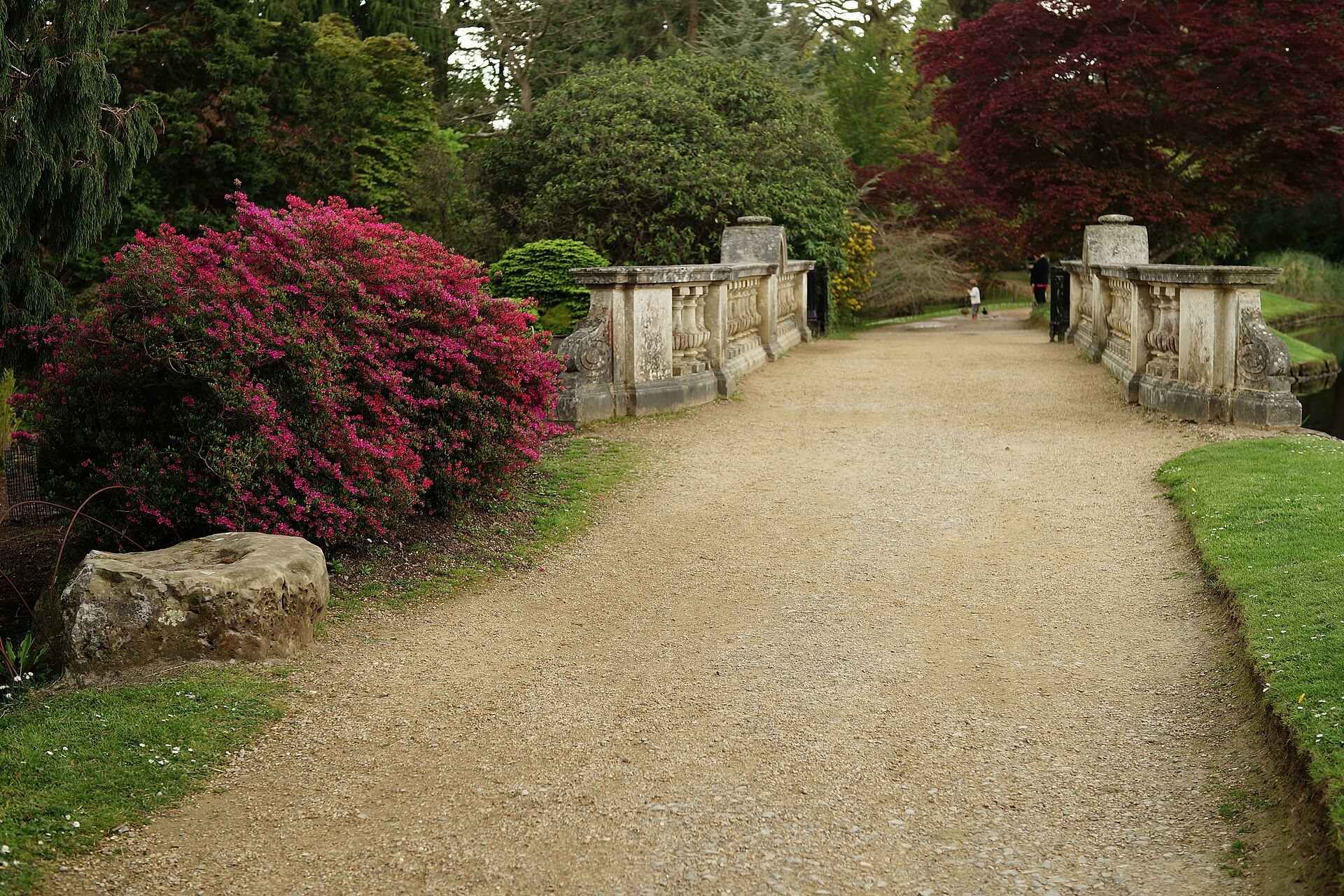 Bridge and spring planting between Sheffield Park garden lakes