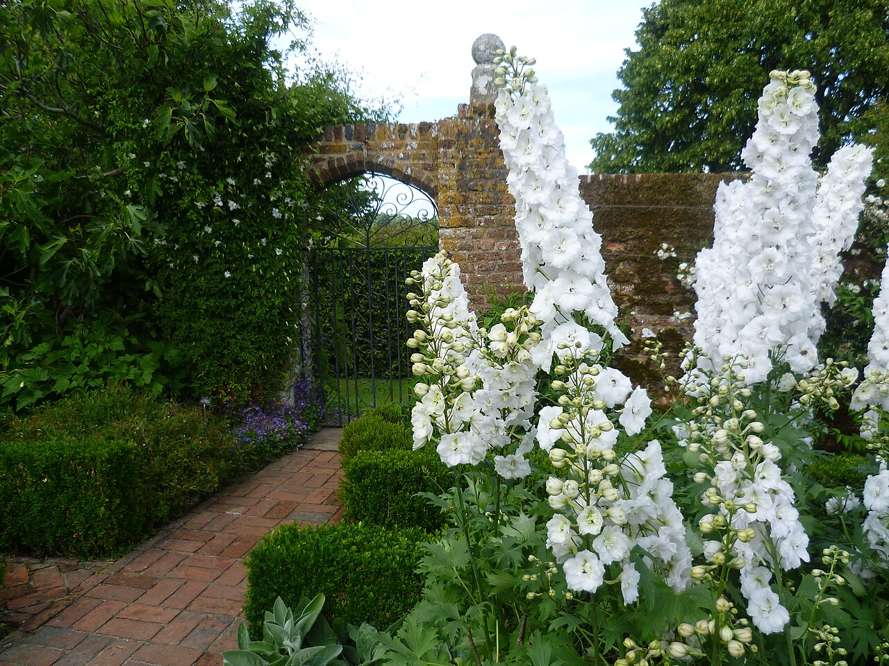 White Garden planting at Sissinghurst Castle Garden